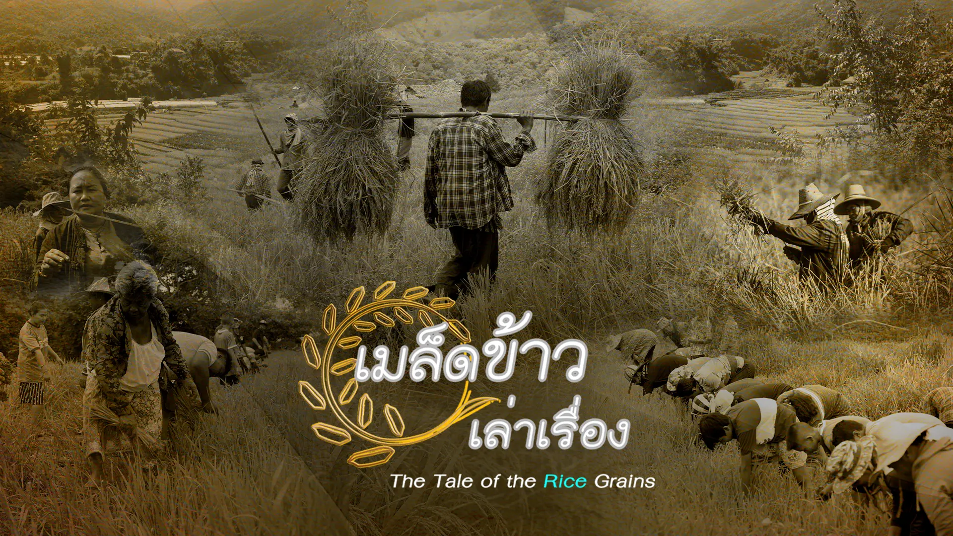 The Tale of The Rice Grains | VIPA