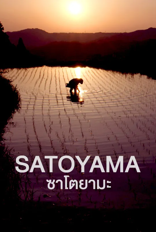 Satoyama | VIPA